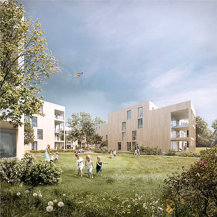 1. Rang / 1. Preis Studienauftrag Wohnüberbauung Falkeisenmatte, Zofingen, 2014